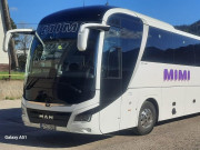 MAN LIONS COACH R08