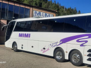 MAN LIONS COACH R08